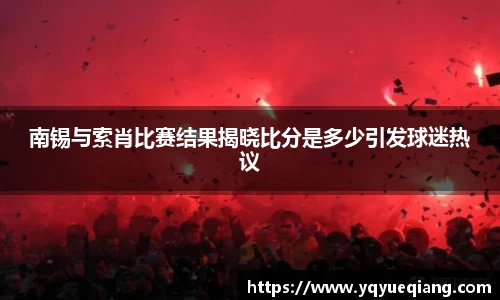 南锡与索肖比赛结果揭晓比分是多少引发球迷热议